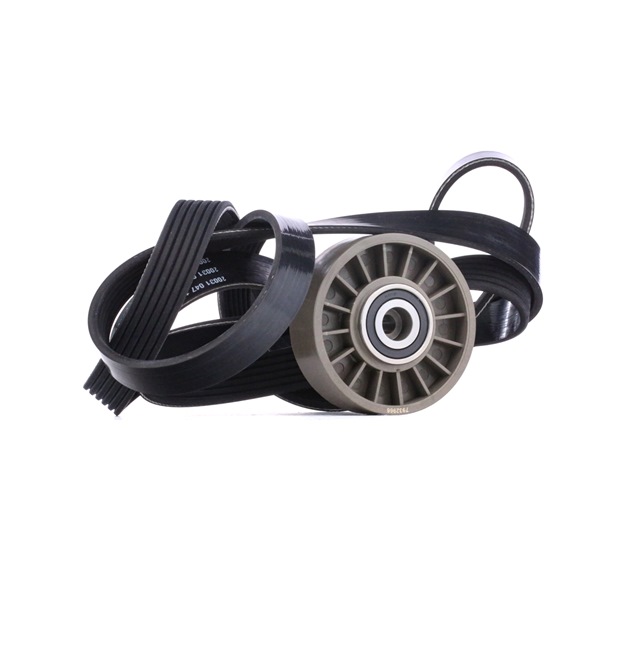 STARK SKRBS-1200322: Poly V-riem set