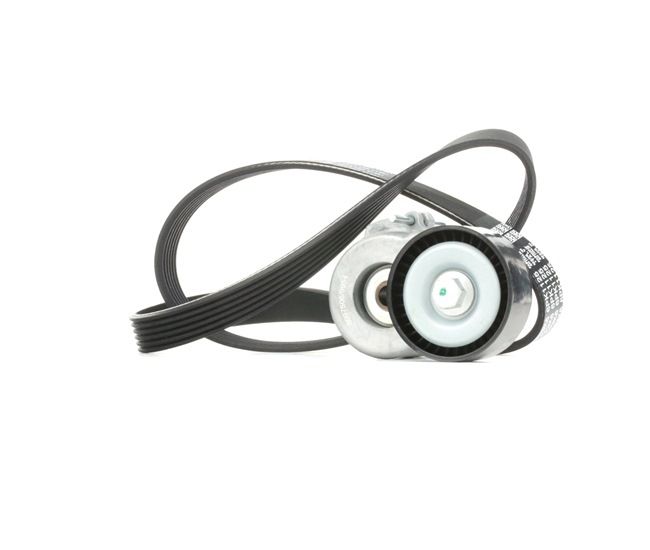 RIDEX 542R0342 Kit Cinghie Poly-V LANCIA YPSILON (843) 70 CV Diesel costo