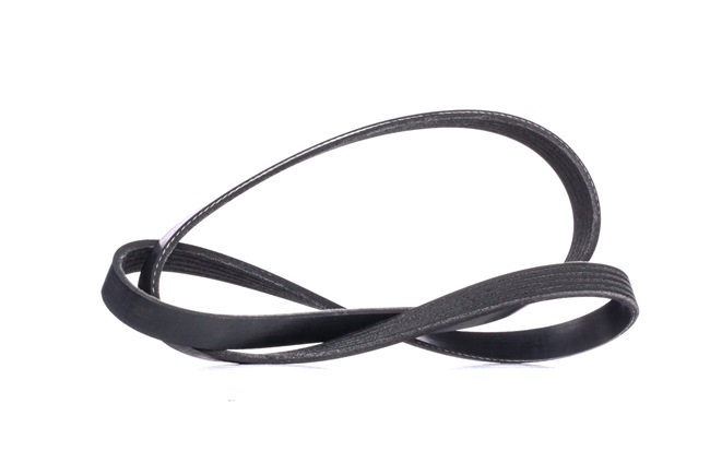 RIDEX 305P0423 Cinghia servizi ABARTH 500C / 595C / 695C (312_) Cabrio 140 CV Benzina costo