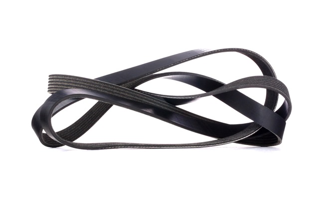 RIDEX 305P0424: Keilrippenriemen 2090mm, Rippenanzahl: 6