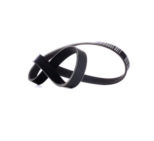 RIDEX 305P0425 Ιμάντας poly-V SEAT Toledo 4 (KG3) 110 PS Βενζίνη κόστος