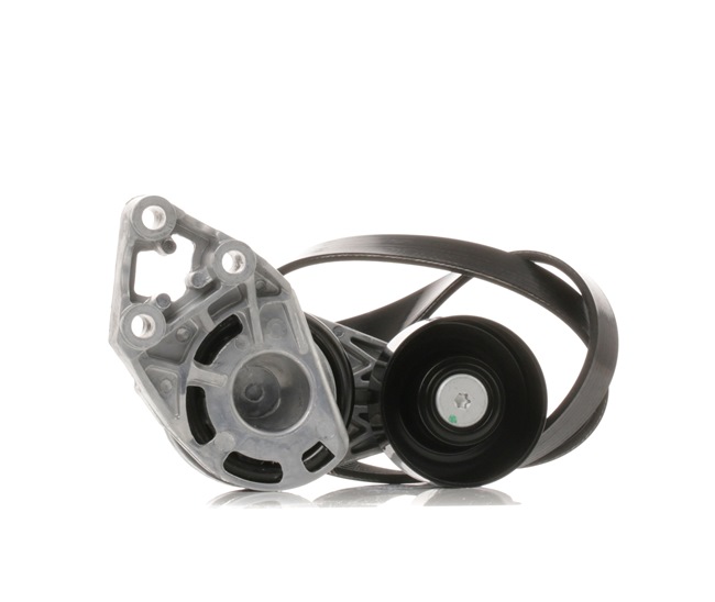 RIDEX 542R0356 Poly V-riem set AUDI A2 (8Z0) 90 Pk Diesel kosten