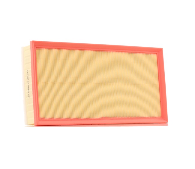 RIDEX 8A0998: Luchtfilter Met voorfilter