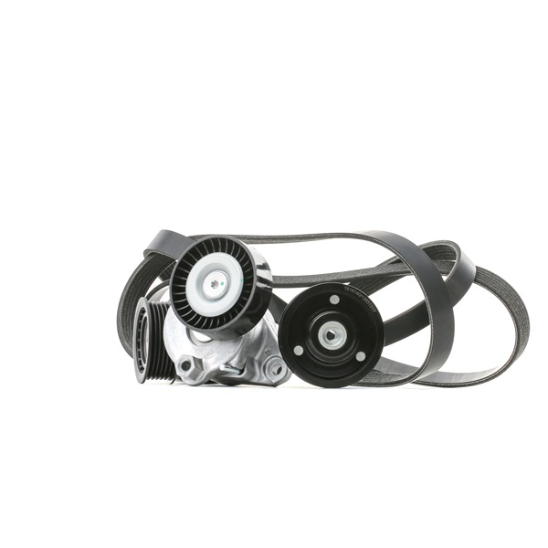 RIDEX 542R0364 Poly V-riem set MERCEDES-BENZ C-Klasse Sedan (W203) 231 Pk Benzine kosten