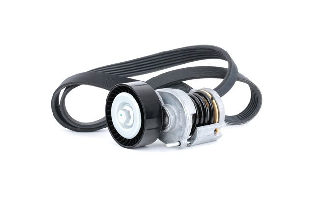 STARK SKRBS-1200365: Poly V-riem set