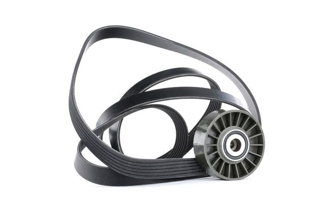 RIDEX 542R0379 Σετ ιμάντων poly-V SSANGYONG Rexton / Rexton 2 (GAB_) 186 PS Πετρέλαιο κόστος