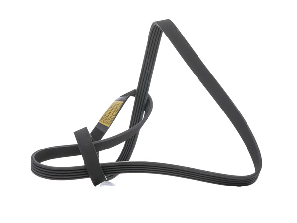 RIDEX 305P0427: Keilrippenriemen 1720mm, Rippenanzahl: 5