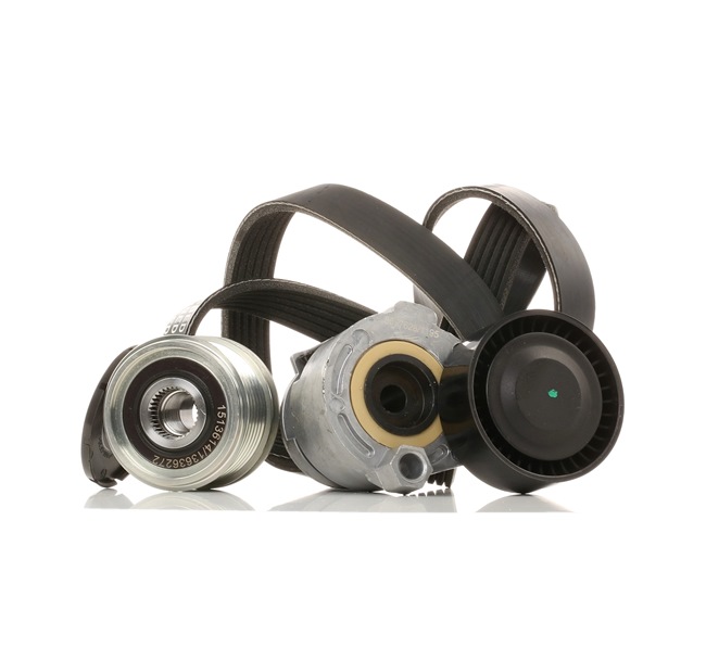 RIDEX 542R0383 Комплект пистов ремък RENAULT MEGANE 2 Coupe-Cabriolet (EM0/1) 106 K.C. дизел цена