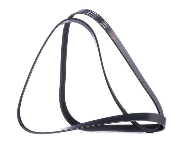 RIDEX 305P0430: Pasek klinowy wielorowkowy 2094[mm], Liczba żeber: 6