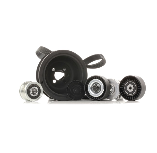 RIDEX 542R0394 Комплект пистов ремък AUDI A4 Avant (8K5, B8) 170 K.C. дизел цена