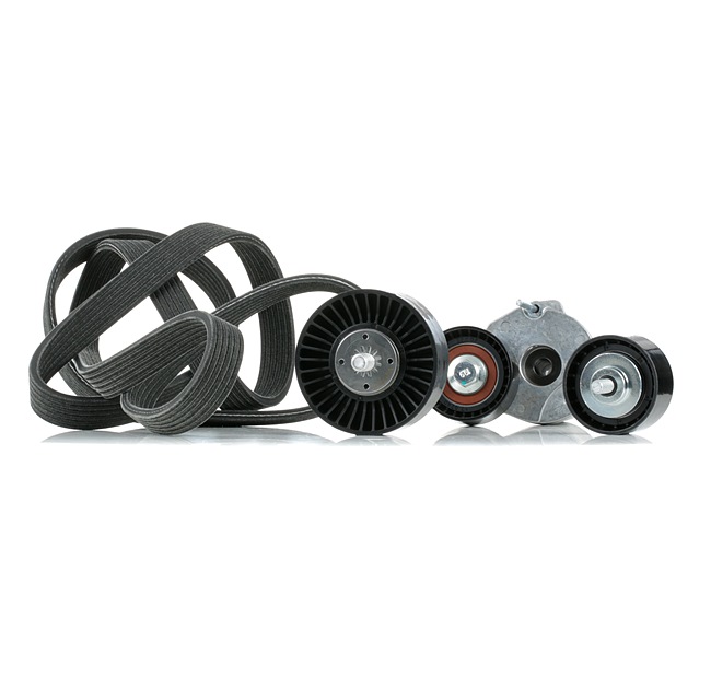 RIDEX 542R0397 Комплект пистов ремък BMW 3 (E90) 204 K.C. дизел цена