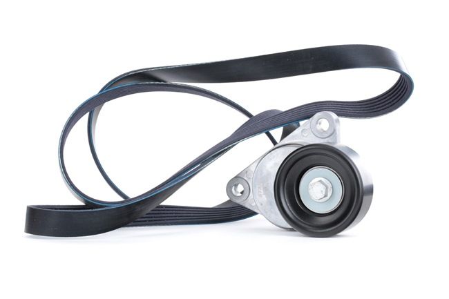 STARK SKRBS-1200399: Poly V-riem set