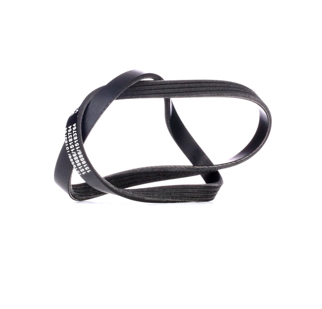 RIDEX 305P0434: Multiriem 890mm, Ribbenaantal: 4