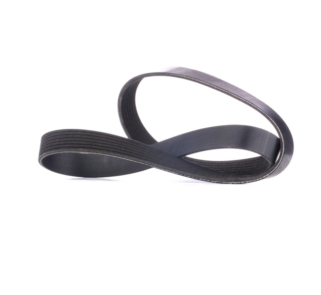 RIDEX 305P0439: Keilrippenriemen 1135mm, Rippenanzahl: 7