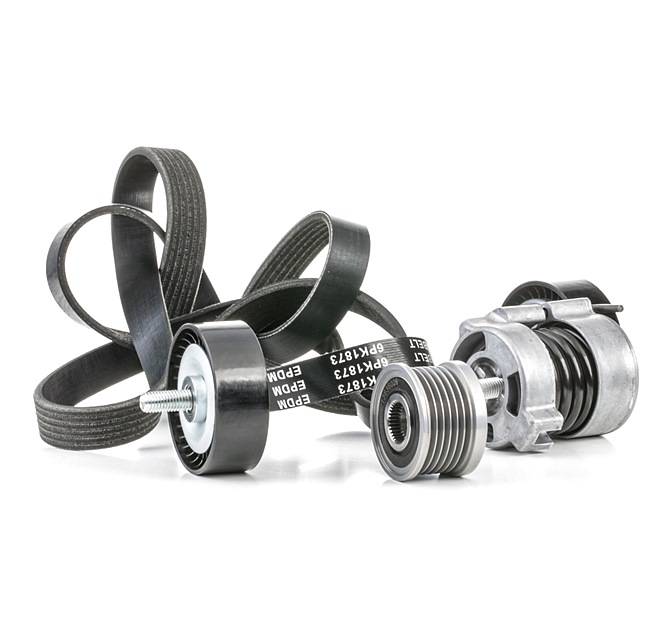 RIDEX 542R0429: Juego de correas trapeciales poli V
