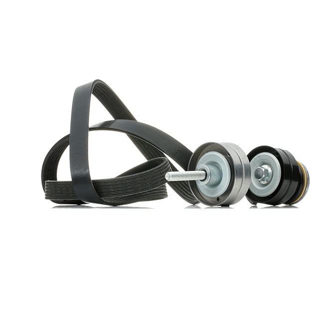 RIDEX 542R0449 Комплект пистов ремък VW Passat Variant (365) 150 K.C. Бензин/Метан (CNG) цена