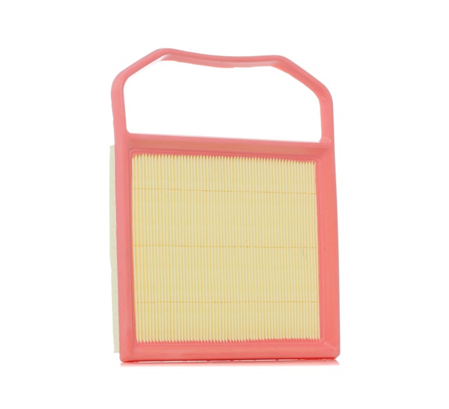RIDEX 8A1198: Gaisa filtrs