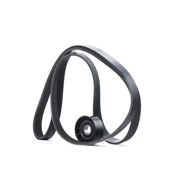 RIDEX 542R0471 Jogo de correias trapezoidais estriadas RENAULT CLIO 2 (BB0/1/2, CB0/1/2) 117 cv Gasolina/etanol custo