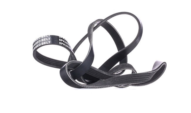 RIDEX 305P0455 Multiriem LAND ROVER Range Rover 3 (L322) 177 Pk Diesel kosten