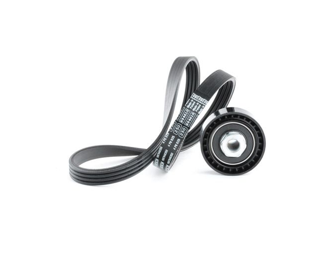 RIDEX 542R0497 Jogo de correias trapezoidais estriadas RENAULT CLIO 2 (BB0/1/2, CB0/1/2) 54 cv Gasolina custo