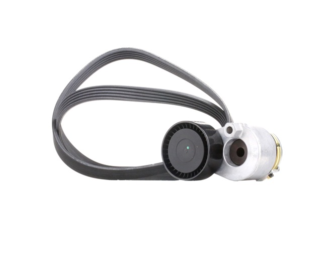 RIDEX 542R0509 Kit Cinghie Poly-V RENAULT MODUS / GRAND MODUS (F/JP0_) 65 CV Diesel costo