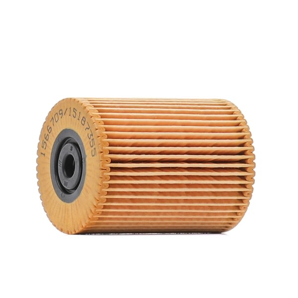 RIDEX 9F0303 Kraftstofffilter AUDI Q7 (4LB) 272 PS Benzin Kosten