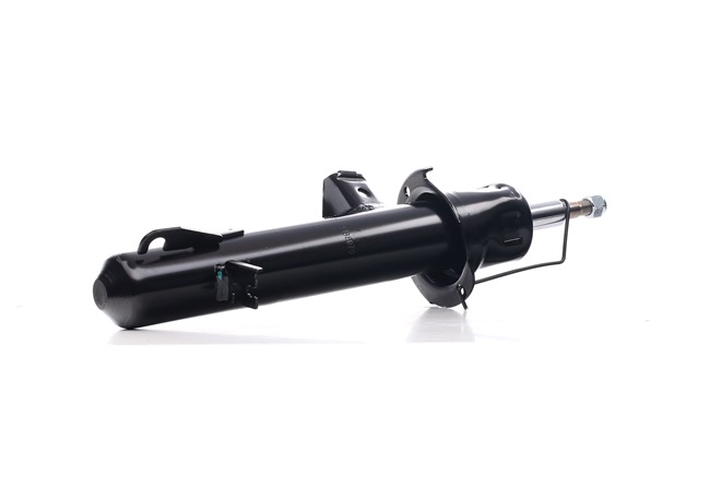RIDEX 854S2473 Stoßdämpfer MINI Paceman (R61) 163 PS Benzin Kosten