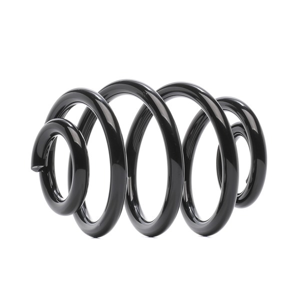 RIDEX 188C0681: Fahrwerksfeder Hinterachse