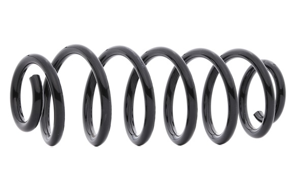 RIDEX 188C0719 Federn AUDI A3 Schrägheck (8P1) 1.6 FSI 115 PS Benzin