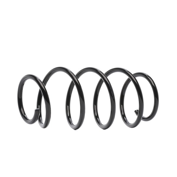 RIDEX 188C0767 Federn FIAT PANDA (169) 1.2 (169.AXB11, 169.AXB1A) 60 PS Benzin