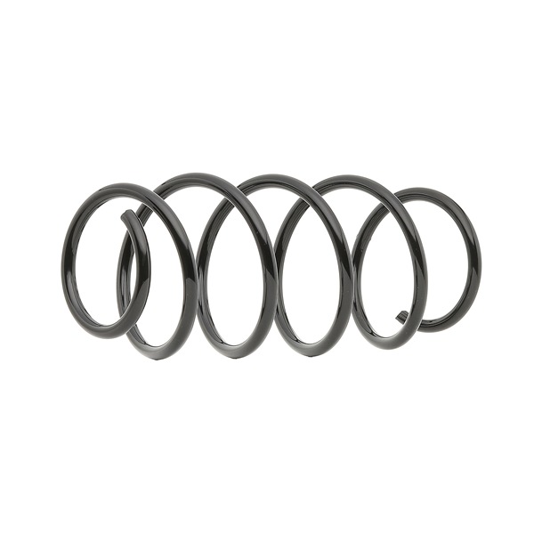 RIDEX 188C0774 Federn FIAT PANDA (169) 1.2 (169.AXB11, 169.AXB1A) 60 PS Benzin
