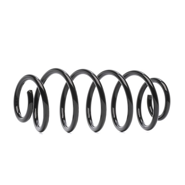 RIDEX 188C0776: Chassisveer Achteras