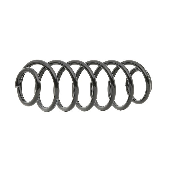RIDEX 188C0779: Chassisveer Achteras