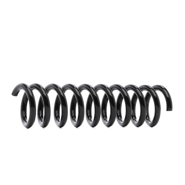 RIDEX 188C0796: Chassisveer Achteras