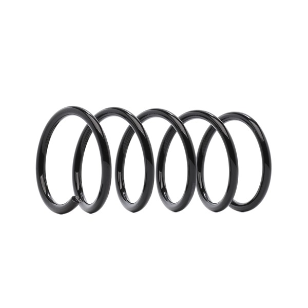 RIDEX 188C0797: Arc spiral puntea spate