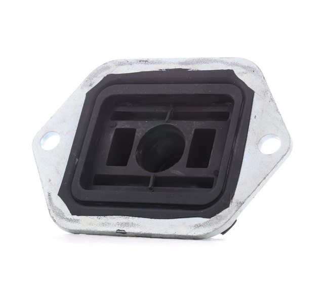 RIDEX 1080M0054 Achskörperlager Hinterachse beidseitig, hinten