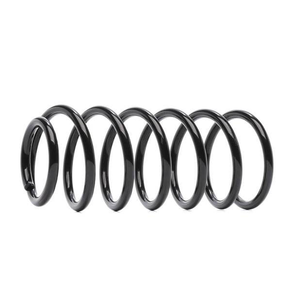 RIDEX 188C0862: Chassisveer Vooras