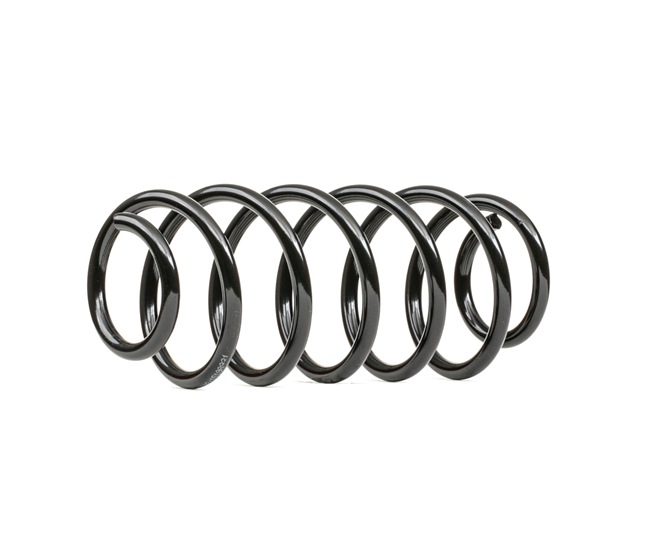 RIDEX 188C0898: Fahrwerksfeder Hinterachse