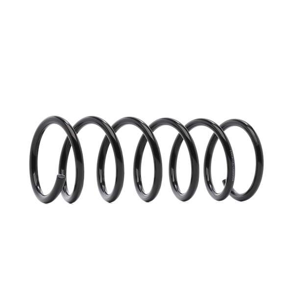 RIDEX 188C0979: Chassisveer Achteras