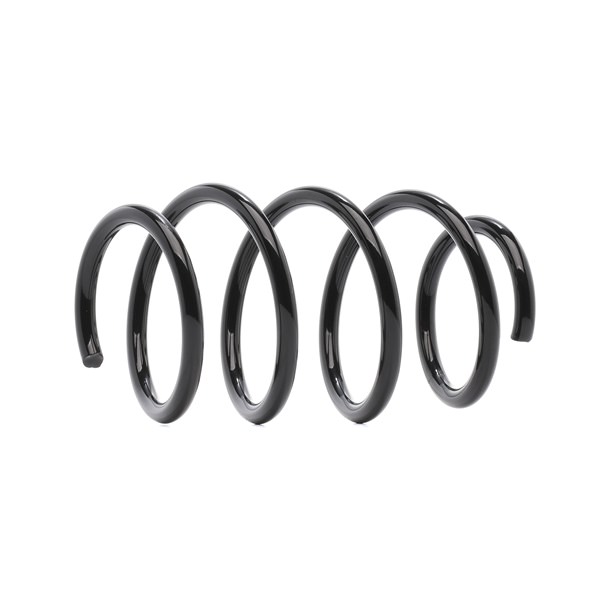 RIDEX 188C1021: Arc spiral punte fata