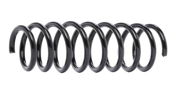 RIDEX 188C1173: Arc spiral puntea spate