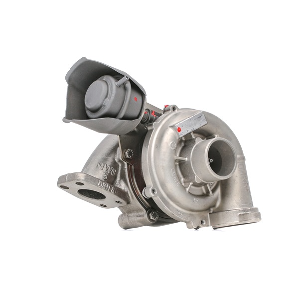 RIDEX REMAN 2234C0016R: Turboaggregat utan packningar