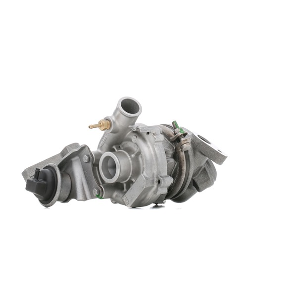 RIDEX REMAN 2234C0118R: Turbolader mit Dichtungen