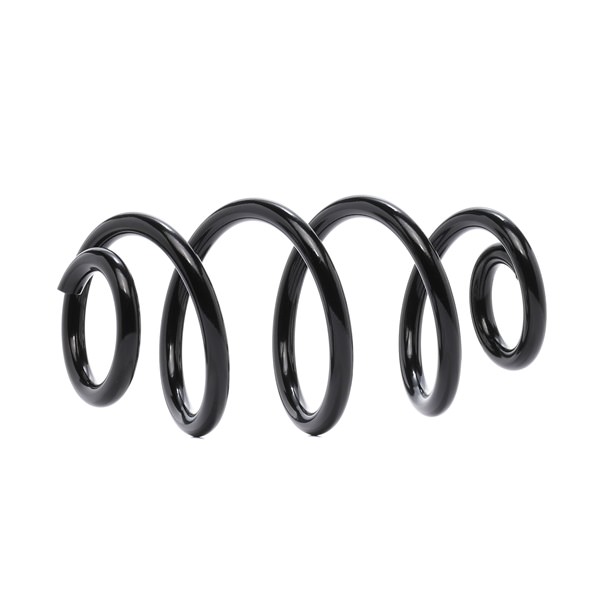 RIDEX 188C1583 Federn NISSAN Qashqai / Qashqai +2 I (J10, NJ10) 1.5 dCi 110 PS Diesel