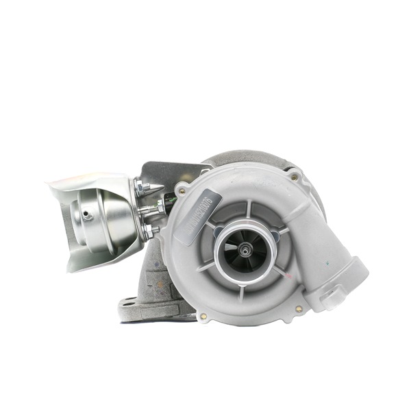 RIDEX 2234C0184 Turbolader CITROЁN C5 II Break (RE_) 109 PS Diesel Kosten