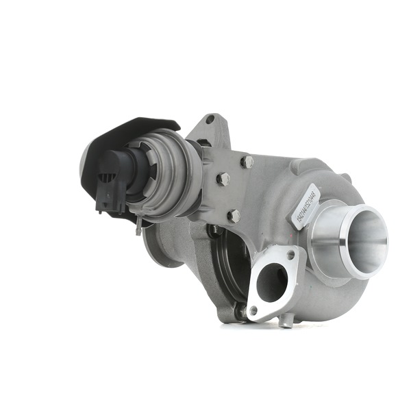RIDEX 2234C0200: Turbolader inkl. Dichtungssatz, ohne Anbau-/Befestigungsmaterial