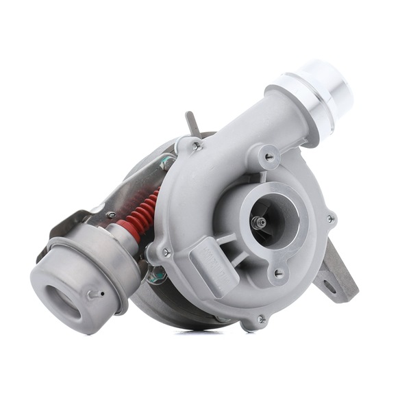 RIDEX 2234C0210 Turbocharger RENAULT SCENIC 3 (JZ0/1) 95 Pk Diesel kosten