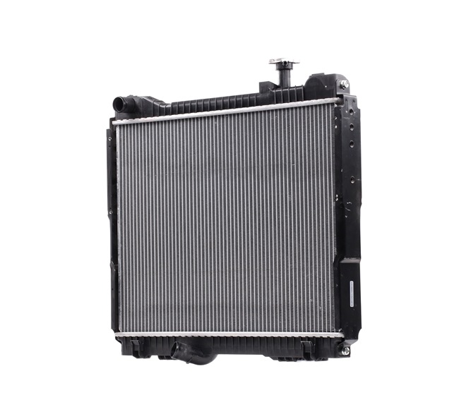 RIDEX 470R0825: Radiateur du moteur