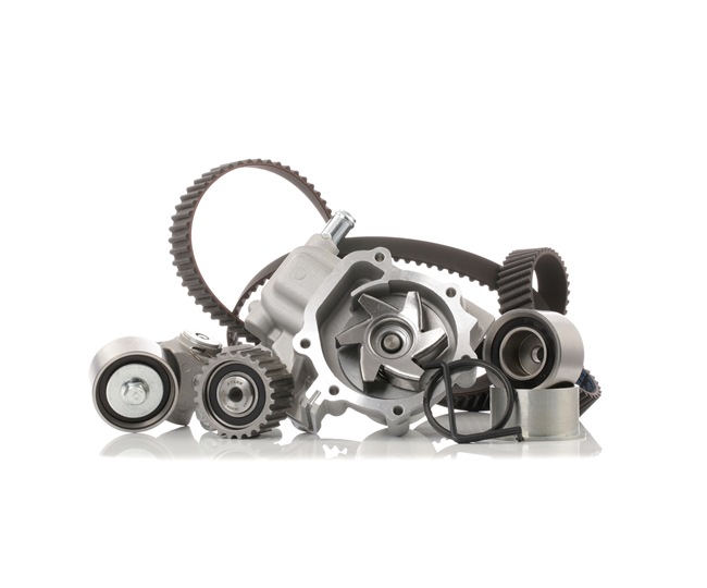 STARK SKWPT-0750232: Kit cinghia distribuzione, pompa acqua N° denti: 223, con guarnizioni, con pompa acqua