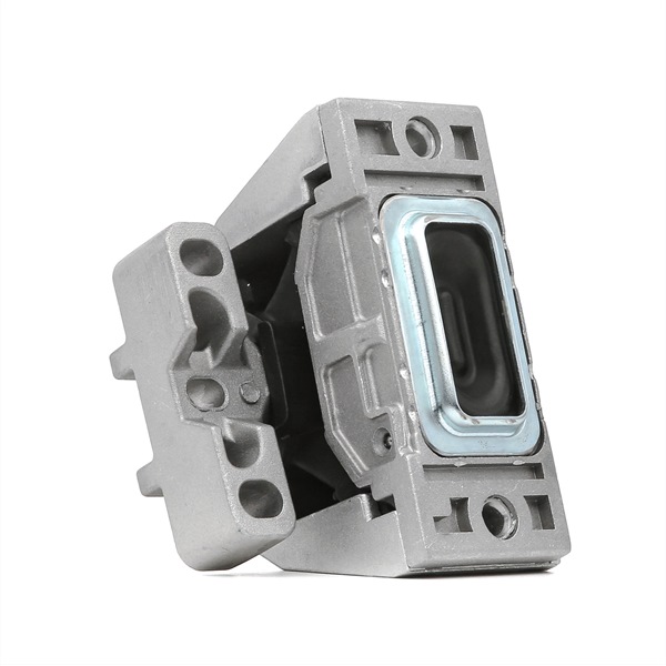 RIDEX 247E0405: Supporto motore Dx